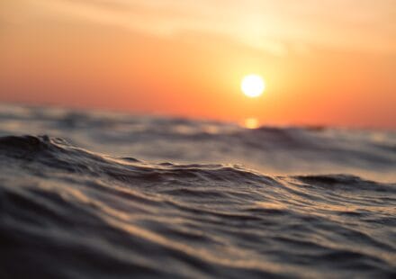 ocean, sea, waves, dawn, dusk, seascape, sun, sunrise, nature, sunset, water